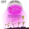 Indoor plants grow light red 630nm 660nm 850nm ir led light bulb bloom booster for flowering enhancement, led light therapy