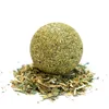 Pet Catnip Toys Edible Catnip Ball Safety Healthy Cat Mint Cats Home Chasing Game Toy Products Clean Teeth The Stomach ► Photo 2/6