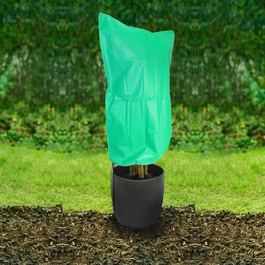 Plant Cover Winter Warm Cover Tree Shrub Plant Protecting