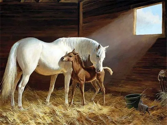 5D DIY Алмазная картина животное лошадь квадратные Стразы Алмазная вышивка крестиком Мозаика украшение дома подарок