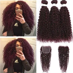 99J Kinky Curly Bundles With Lace Closure 4x4 27 30 33 Brown Hair Brazilian Remy Human Hair 3 Bundles With Closure Euphoria