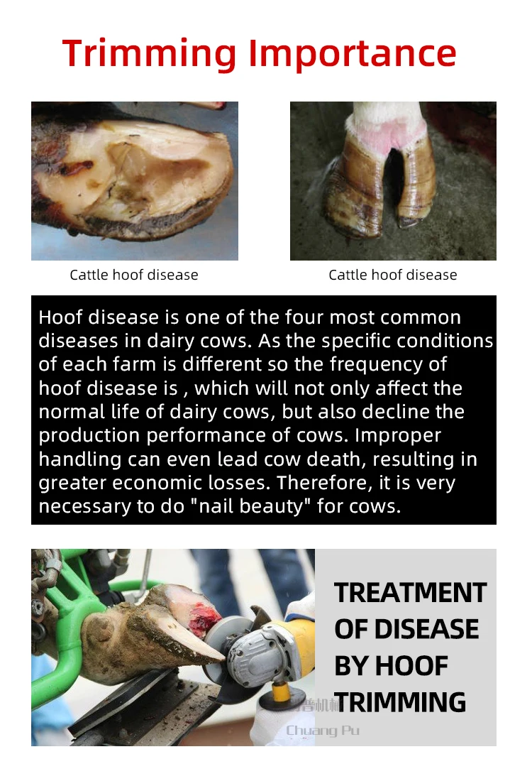 修蹄刀盘国际版_02