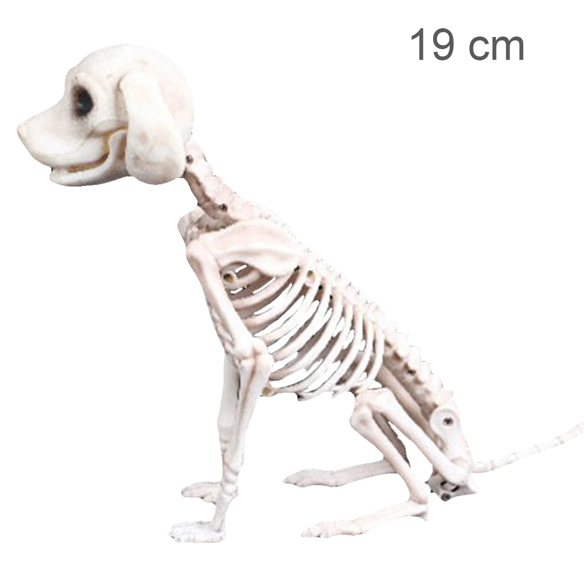 Хэллоуин Животные декоративный Скелет мышь собака кошка череп украшения «Кости» Хэллоуин ужас дом с привидениями реквизит для украшения