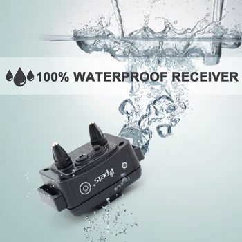 

Extra 620 Receiver