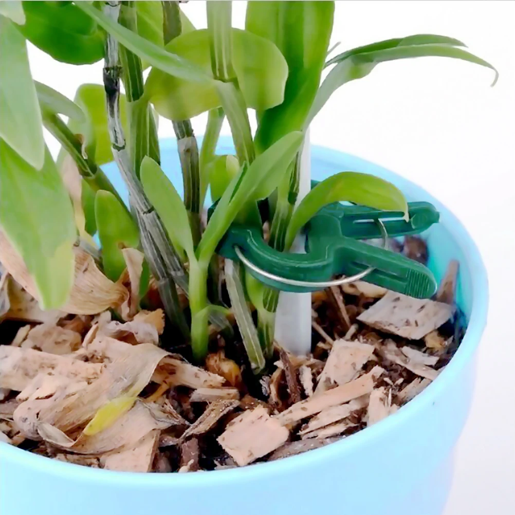 20Pcs Reusable Garden Plant Fixed Clip Vines Grape Support Fastener Vegetables Flowers Clamp Greenhouse Bracket Connector Clip 20Pcs Reusable Garden Plant Fixed Clip Vines Grape Support Fastener Vegetables Flowers Clamp Greenhouse Bracket Connector Clip