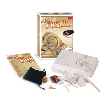 

Rowsfire 5Pcs Children Educational Shellfish Fossil Excavation Toy Kits with Environmentally Friendly Materials