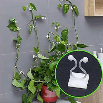 

200Pcs Plant Fixed Clip Bracket Invisible Wall Rattan Clamp Clip Invisible Wall Vine Climbing Sticky Hook Rattan