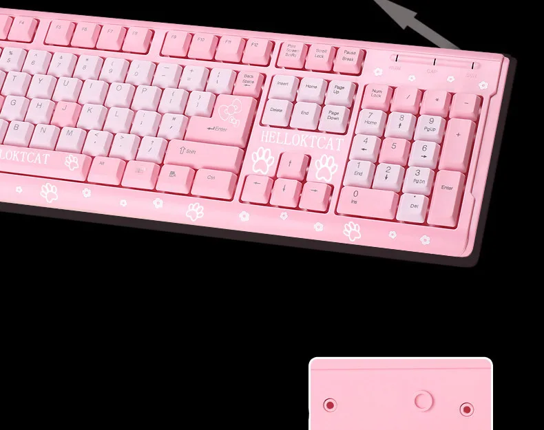 11768735272_79479731