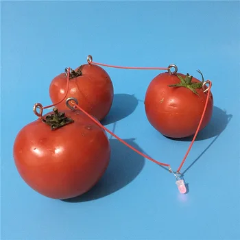 

Children's Science Experiment Materials Vegetables Cola Fruit Battery Technology Small Making Small Inventions DIY Set New