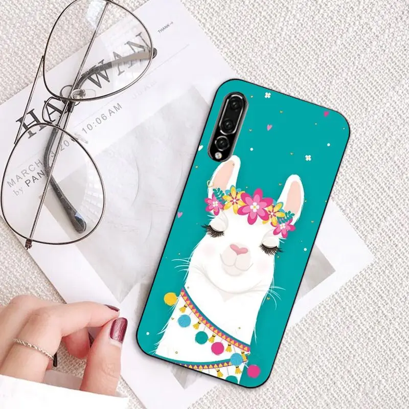 Cartoon Lama Llama Alpacas Animal