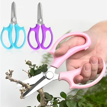 Outil de taille d'arbres en acier inoxydable, ciseaux de jardin pour arbres fruitiers et fleurs, Arrangement de Branches, ciseaux de maison, ciseaux de taille