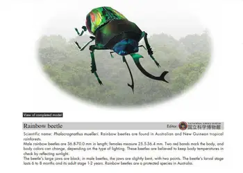 

Colorful rainbow stag beetle insect paper model 3D handmade DIY kindergarten origami student activity origami