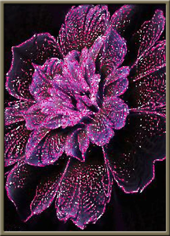 19ZN10220037  18x25cm 满钻