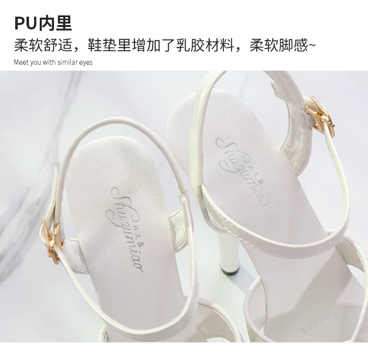 12990159083_2138732029