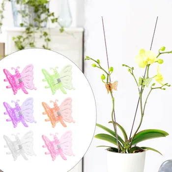 

30pcs Plant Flower Support Bonsai Mini Cucumbers Cute Stem Butterfly Orchid Clips Garden Tool Roses Tomato Vine Hair Accessory