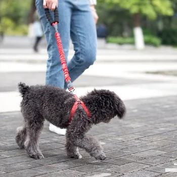 

Dog Leash Dog Strap Rope Traction Dog Harnes Leash Rope Automatic Retractable Elastic Training Lead Pet Collar Lead