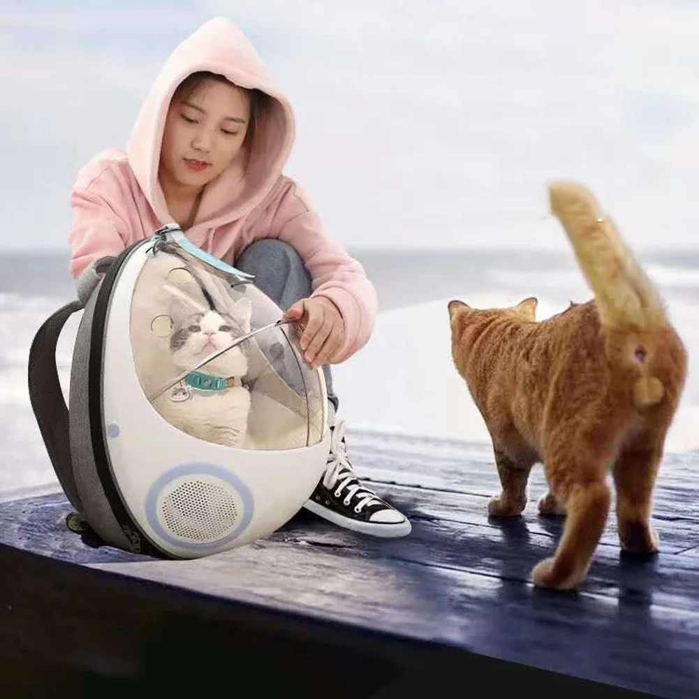 2 cat backpack