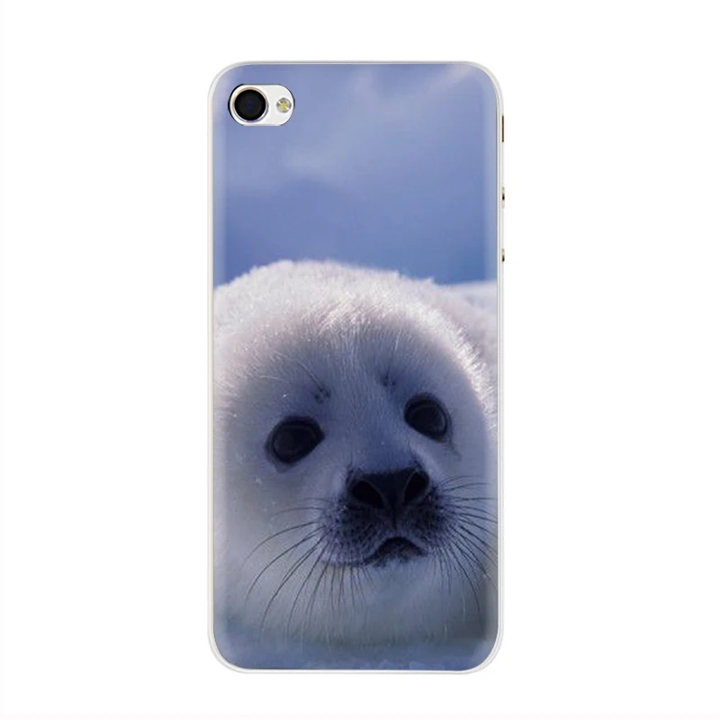 Жесткий чехол для телефона EWAU Baby harp Seal Sea Lion чехол для iPhone 5 5S SE 5C 6 6s Plus 7 8 Plus X XR XS 11 Pro MAX