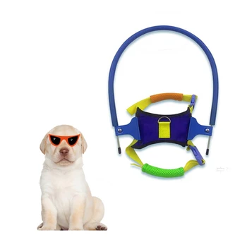 

Pet Anti-collision Ring Scorpion Cataract Animal Protection Circle Guide Dog Harness Collision Collar For Small Puppy Dogs-