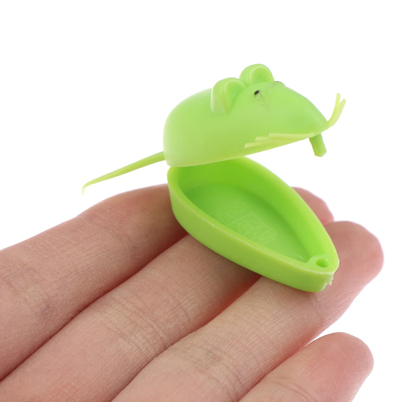 souvenirs de animales para baby shower 5Pcs Cute Mini Mouse Shape Plastic Save Milk Teeth Storage Box Baby Teeth Box For Boy Girl Gift Kid Baby Tooth Box Organizer affordable newborn photography near me