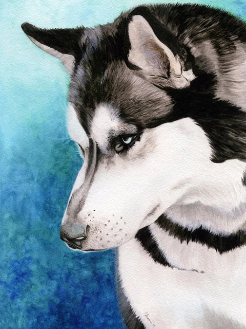 Square/Round Diamond Rhinestone 5D Diy Diamond Painting Animal Stone Embroidery Cute Husky Dog Cross Stitch Pattern Mosaic Gift 8Rp577-12