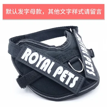 

Fashion Cat Collar Adjustable with Traction Safety Breakaway Cat Collar Reflective Elastic Obroza Dla Kota Pet Necklace YY50CC
