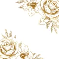 Image 27