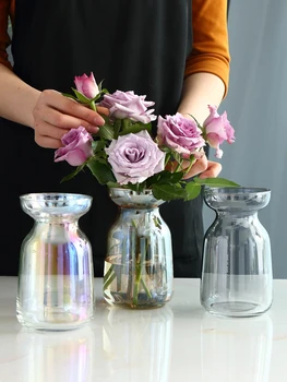 

Aurora Magic Gradual Change Small Vase Glass Flower Arranger Water-culture Plant Glass Vase Fresh Desktop Plant Terrarium Vase