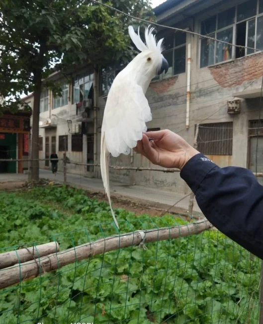 微信图片_20201012172545