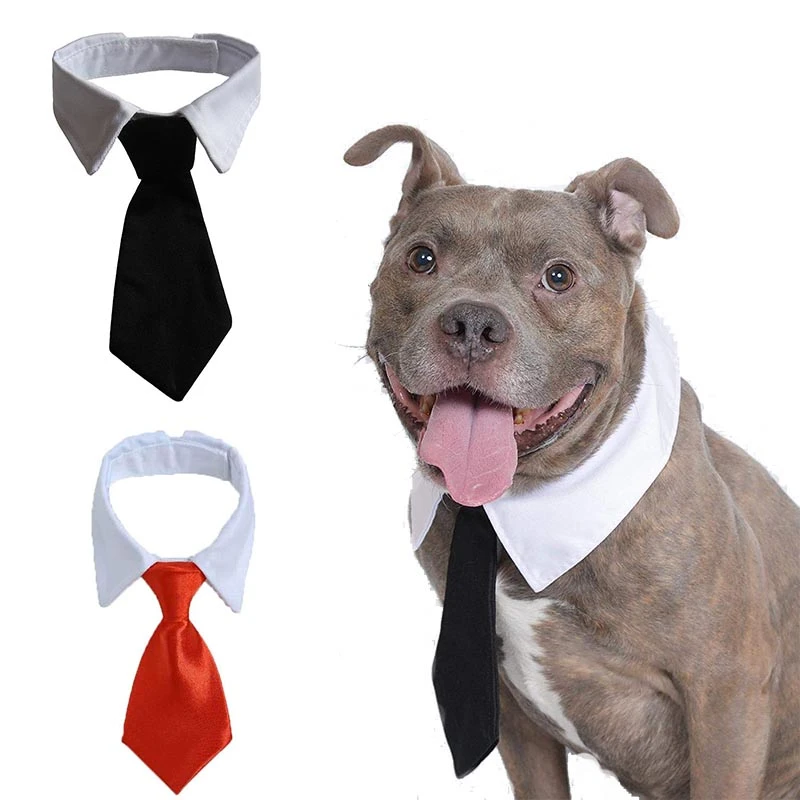 Huisdier Kat Hond Stropdas Verstelbare Puppy Kat Tie Hond Accessoires Voor Kleine Honden Kat Voor Wedding Holiday Party gift|Hond - AliExpress
