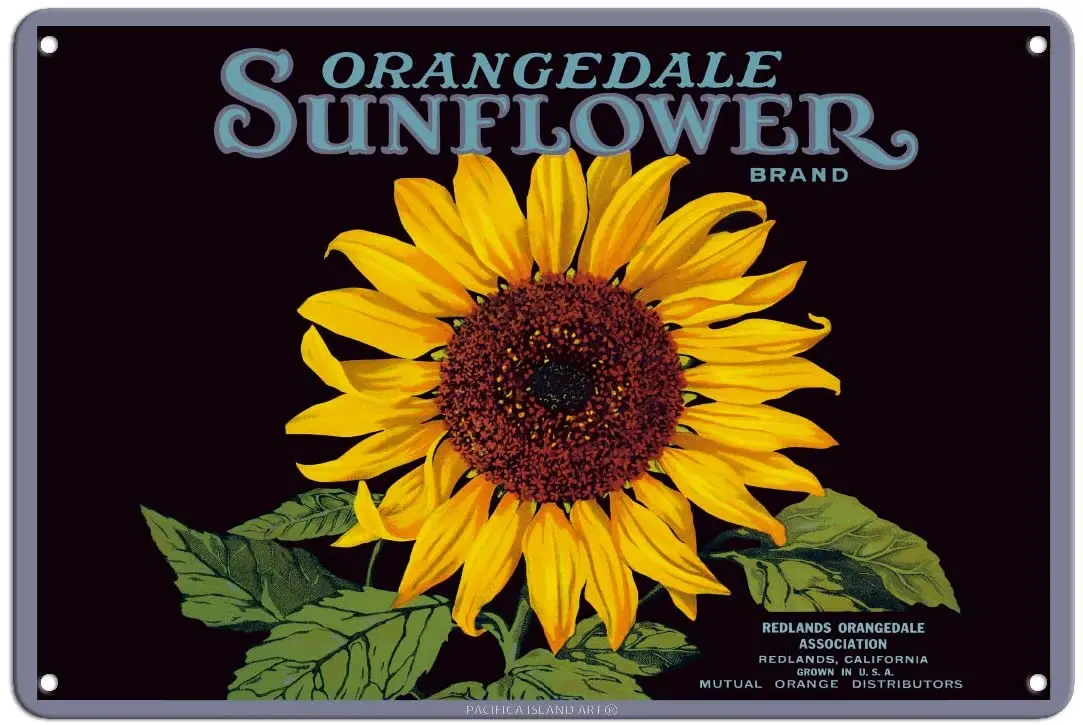 Pacifica Island Art Orangedale Girasole Marca-California Arance-Vintage Fruit Crate Label C.1930S - 8In X 12In Vintage