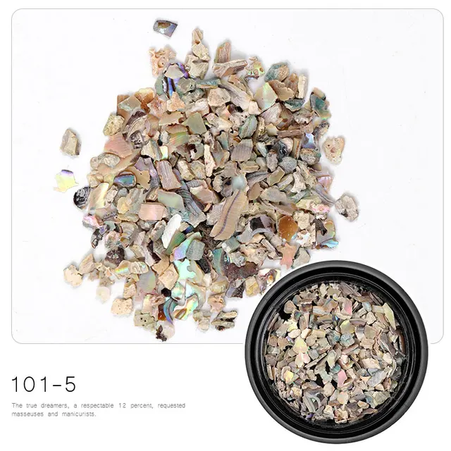 HNUIX 1 Box Shell Stone Nails Art Glitter for Nail UV Gel Nail Polish Flakies Decoration Nail Accessories 101-5