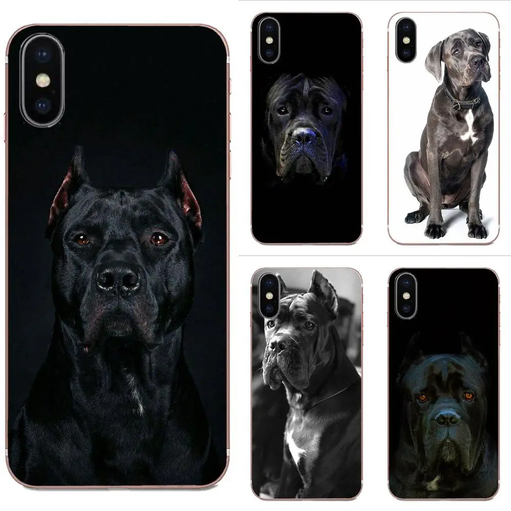 Итальянский собачий тростниковый курс итальянский мастиф для Apple iPhone 4 4S 5 5C 5S SE SE2 6