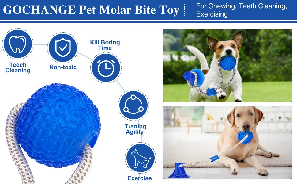 728d764c-80d4-4537-8522-edab7d1b57b4.__CR0,0,970,600_PT0_SX970_V1___