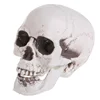 Plastic Human Mini Skull Decor Prop Skeleton Head Halloween Coffee Bars Ornament 1
