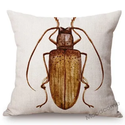 conew_n311 (2) 副本