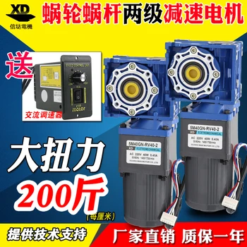 

220V AC variable speed motor 40W RV40 two worm gear motor reversing high torque electric motors