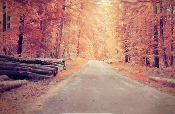 

SHENGYONGBAO Vinyl Custom Photography Backdrops Prop Autumn Scenery Theme Photo Studio Background MH19511-90487