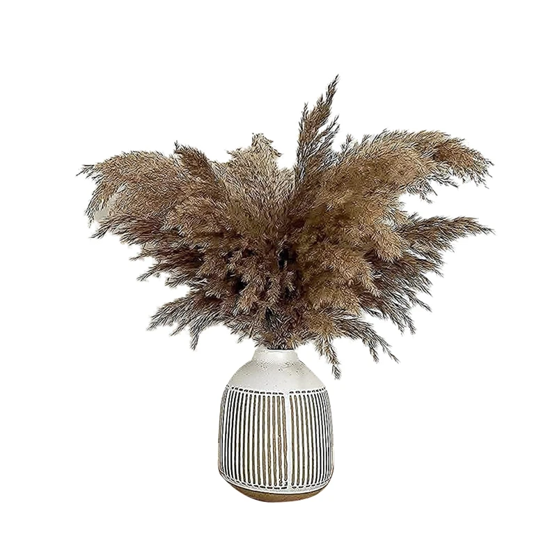 17.72Inch Dried Pampas Floral Decor Fluffy Pampas Grass 30 Stems Small Pampas Bulk Natural