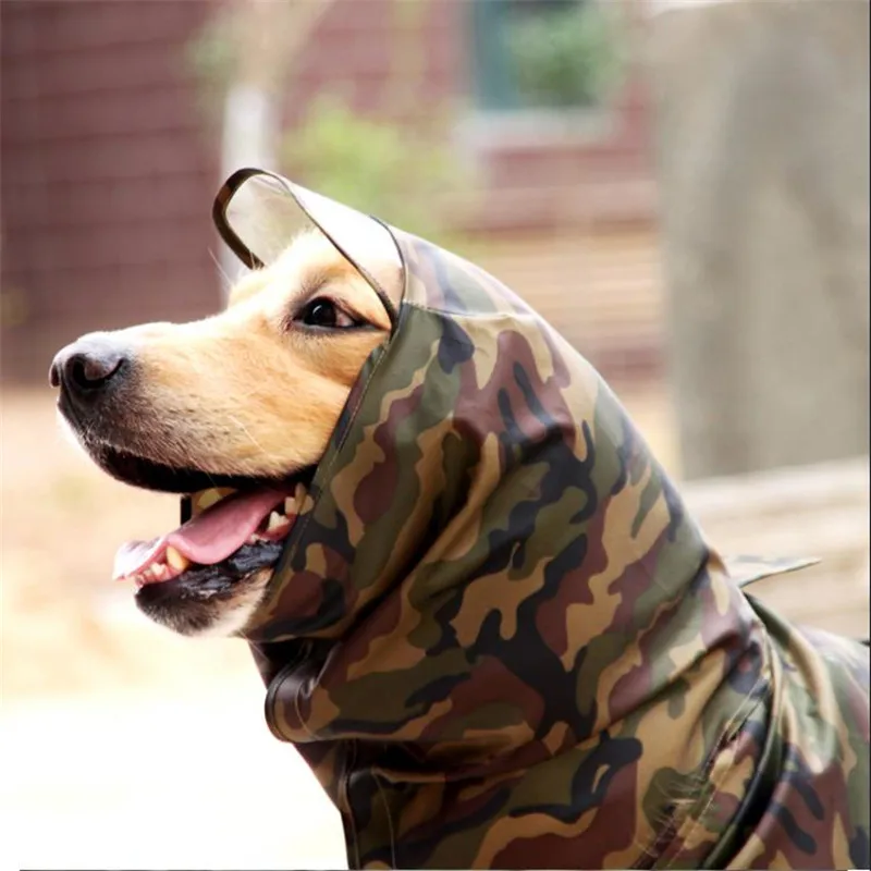 HTB1l7aCB3KTBuNkSne1q6yJoXXax