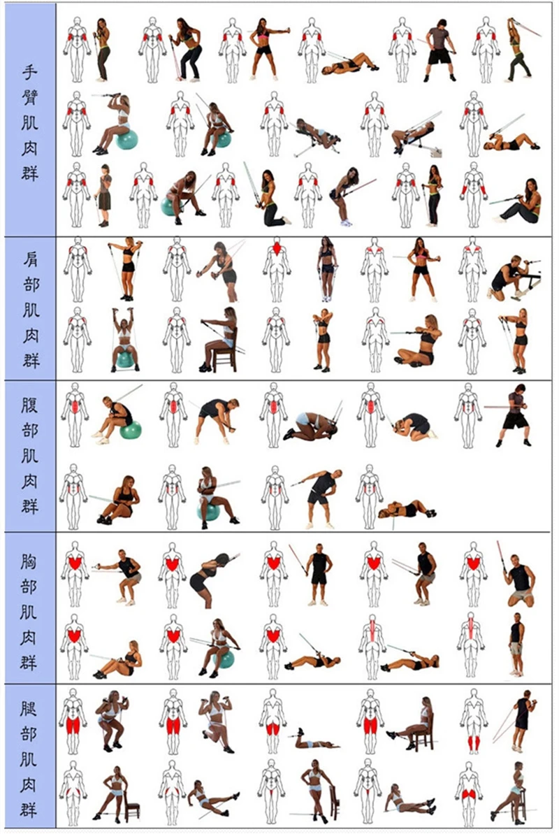 16311879668_1268545662