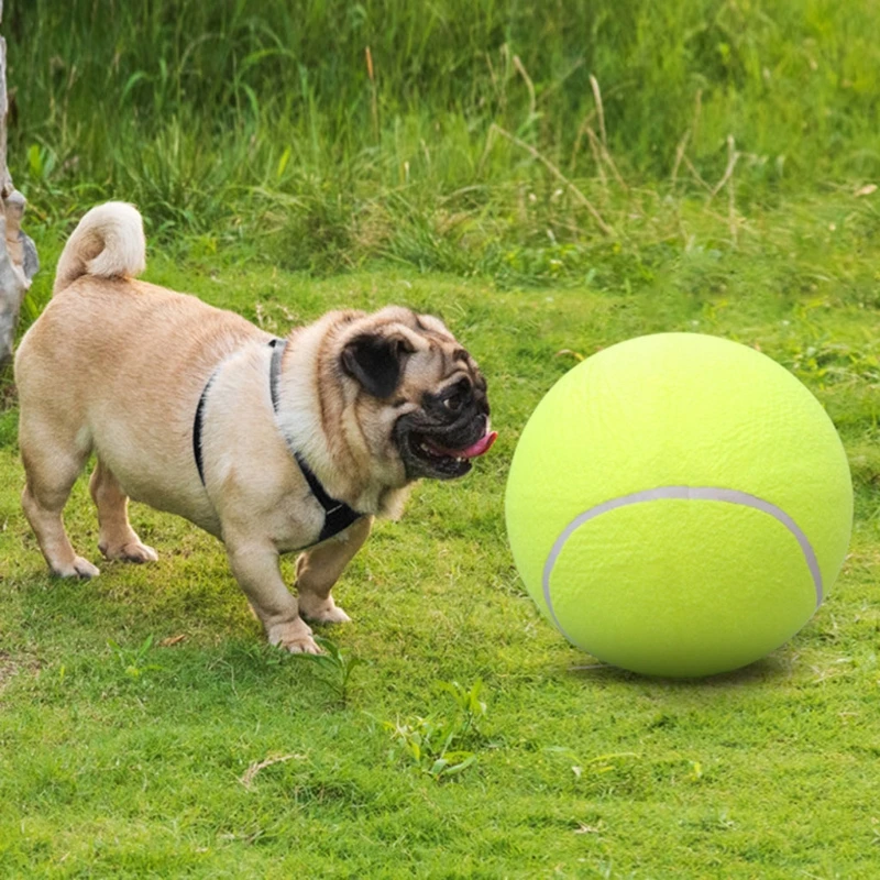 20 USED TENNIS BALLS FOR YOUR DOGS TO PLAY WITH 