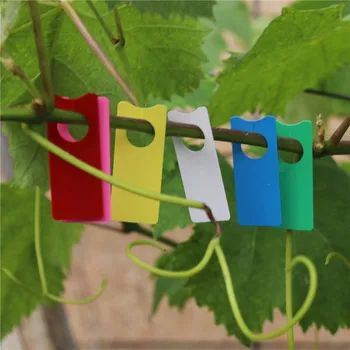 

100pcs Colored Plastic Hanging Plant Labels Vegetables Fruit Tags Grape Sign Flower Garden Hang Tag classification prompt card
