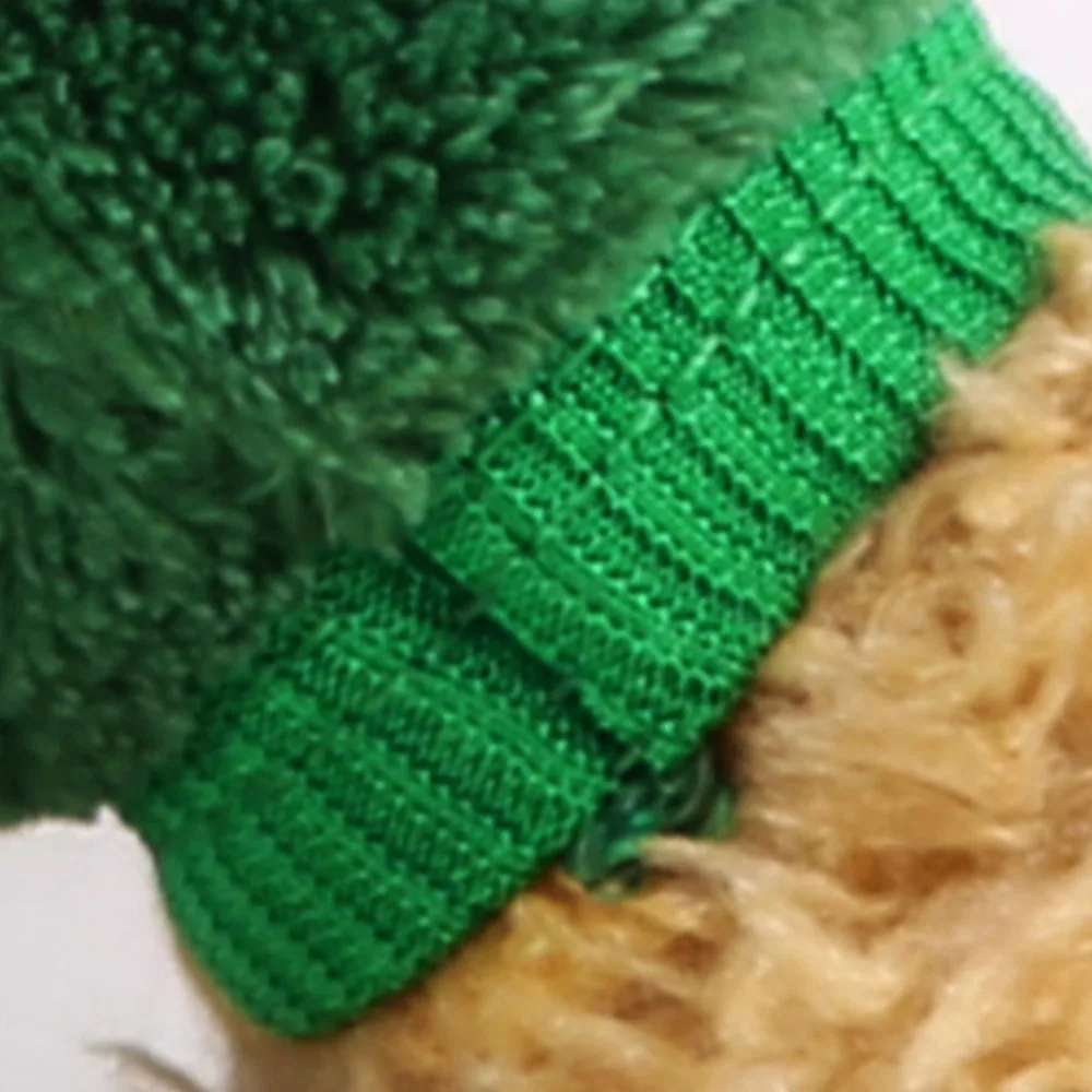 Dinosaur costume for dogs - A little bit of fun and cute