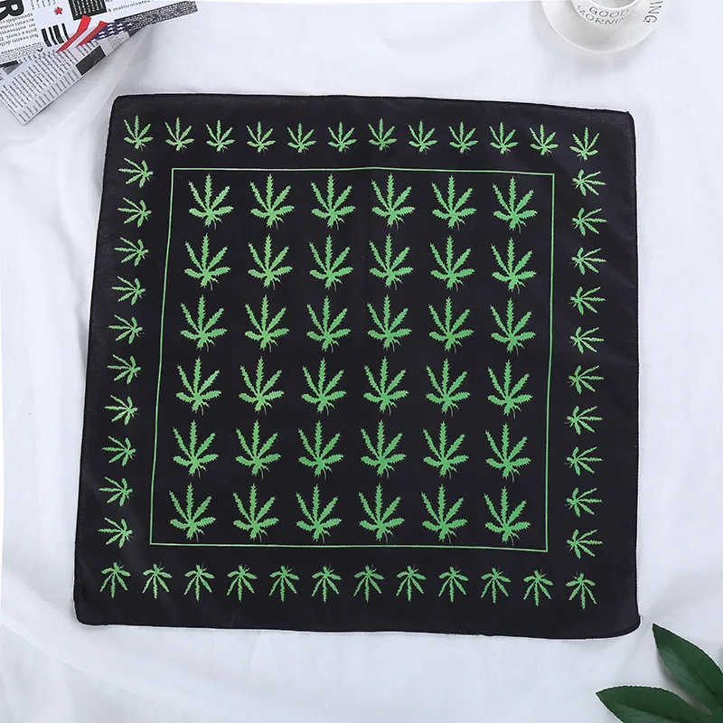 9137161686_1349578731