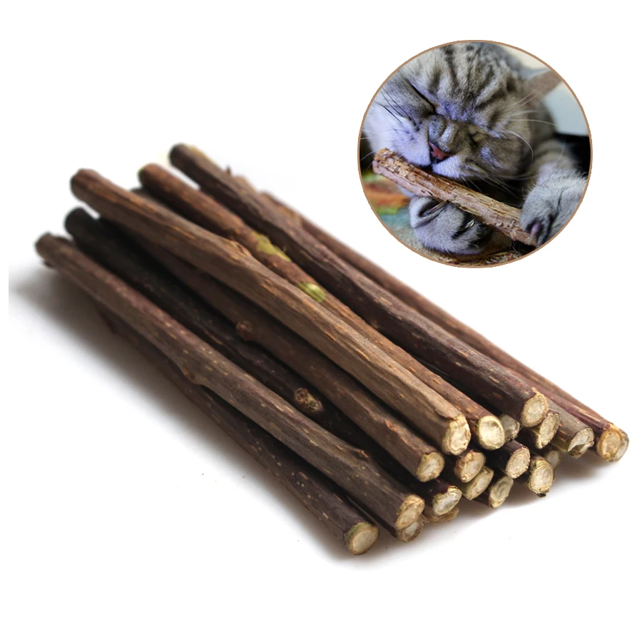 Cat Toy Natural Catnip Pet Cat Molar Toothpaste Stick Matatabi Actinidia Fruit Silvervine Cat Snacks Sticks Pet Cleaning Teeth