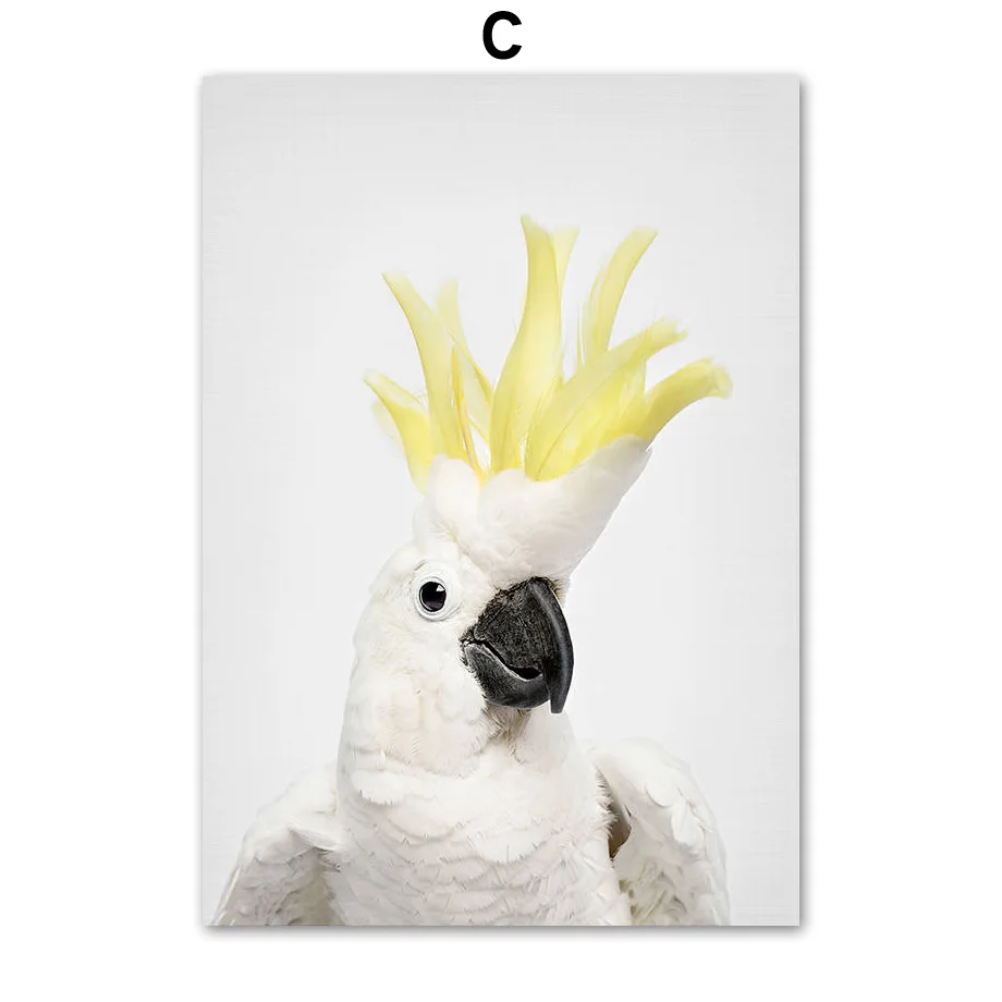 Camelot-Macaws-Cockatoo-Parrot-Wall-Art-Canvas-Painting-Nordic-Posters-And-Prints-Animals-Wall-Pictures-For (3)