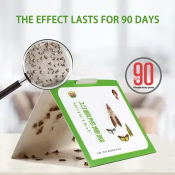 

Strong Pantry Moth Sticky Board Moth Insects Killer Pest Control Glue Sticker Non-Toxic Safe