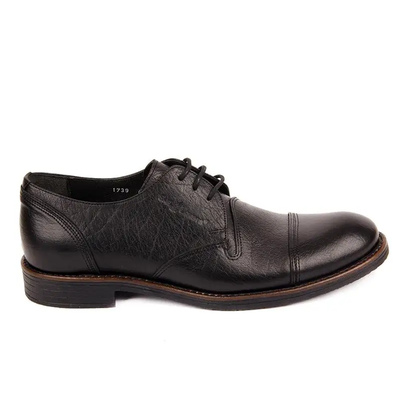 

Sail Lakers-Daily Shoes