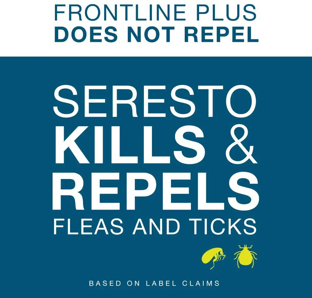 61c4TngPNbL._AC_SL1000_